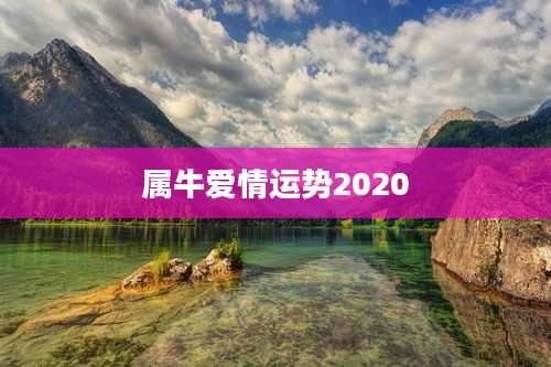 属牛爱情运势2020
