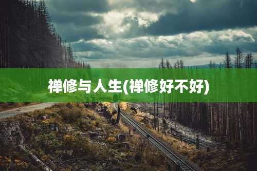 禅修与人生(禅修好不好)