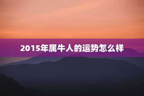 2015年属牛人的运势怎么样