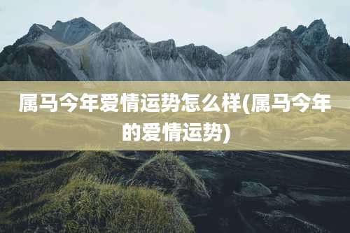 属马今年爱情运势怎么样(属马今年的爱情运势)