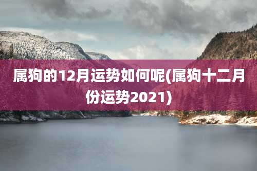 属狗的12月运势如何呢(属狗十二月份运势2021)