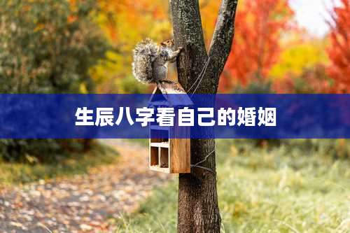 生辰八字看自己的婚姻