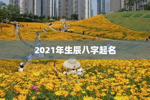 2021年生辰八字起名