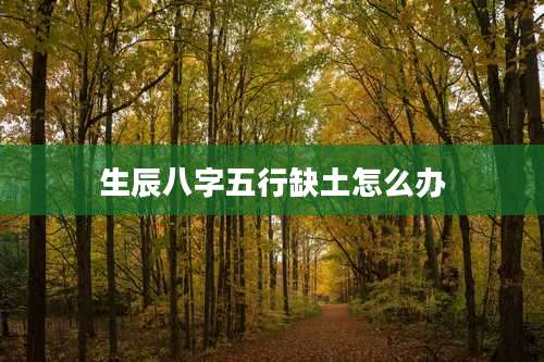 生辰八字五行缺土怎么办