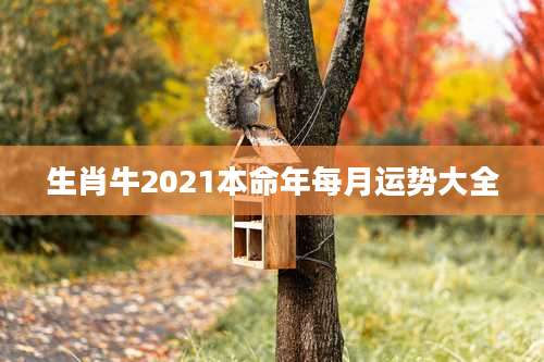 生肖牛2021本命年每月运势大全